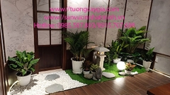 Trang trí tiểu cảnh cho nhà phố tại thị xã Phước Long - Bình Phước