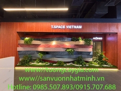Thi công, lắp đặt tiểu cảnh khô tại showroom Gạch ốp lát TSPACE - Royal City - Hà Nội
