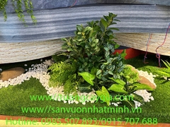 Thi công, lắp đặt tiểu cảnh khô tại showroom Gạch ốp lát TSPACE - Royal City - Hà Nội