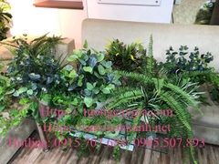 Trang trí bục cây rủ cho văn phòng