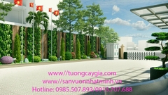 Thi công, lắp đặt tiểu cảnh sân vườn tại khách sạn Capital Garden số 4 Hoàng Ngọc Phách - Hà Nội