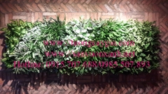Thi công tường cây giả