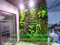 Lắp đặt vách tường cây tại nhà phố số 57 Lý Thần Tông, Võ Cường, Tp Bắc Ninh