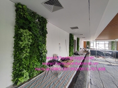 Thi công tường cây giả tại Bệnh viện Quốc tế Phương Đông, quận Bắc Từ Liêm, Tp Hà Nội