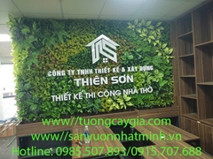 Decor vách cây xanh nhân tạo tại Cong ty BĐS Thiên Sơn - 90 Trung Kính - Cầu Giấy - Hà Nội