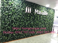 Lắp đặt toàn bộ hệ thống tường cây giả tại tòa nhà Manulife