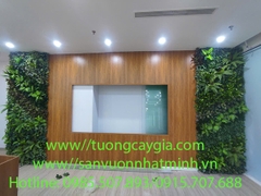 Thi công vách tường cây tại văn phòng giá tốt nhất Hà Nội