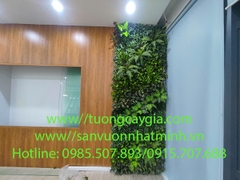 Thi công vách tường cây tại văn phòng giá tốt nhất Hà Nội