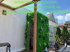 Thi công, lắp đặt tường cỏ xung quanh cục nóng điều hòa tòa nhà tại 254 Thụy Khuê - Hà Nội