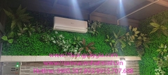 Thi công vách tường cỏ di động tại quận 7, Tp Hồ Chí Minh giá tốt nhất