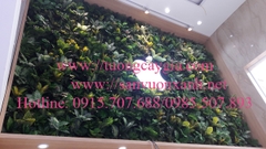 Tường cây giả 16 Hàng Bài, Hà Nội