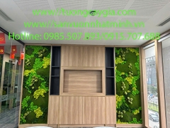 Thi công lắp đặt vách tường rêu nhân tạo giá tốt nhất thị trường.