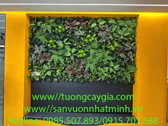 Thi công vách tường cây tại văn phòng công ty Starworld đường 13 Hữu Thọ, khu dân cư Kim Sơn, quận 7, Tp HCM