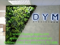 Decor hệ thống cây lá nhân tạo tại văn phòng Công ty DYM - TP Hồ Chí Minh
