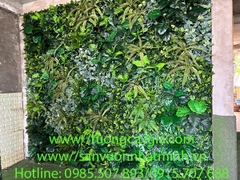 Thi công vách tường cây tại tầng thượng số nhà 371 Thụy Khuê Hà Nội