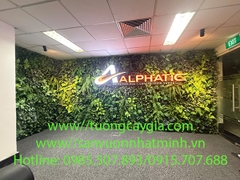 Lắp đặt vách tường cây nhân tạo tại tòa nhà Sông Đà, đường Phạm Hùng, Tp Hà Nội