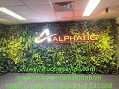 Lắp đặt vách tường cây nhân tạo tại tòa nhà Sông Đà, đường Phạm Hùng, Tp Hà Nội