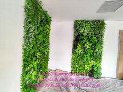 Thi công tường cây giả tại Bệnh viện Quốc tế Phương Đông, quận Bắc Từ Liêm, Tp Hà Nội