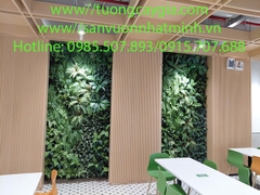 Thi công lắp đặt vách tường cây tại tại nhà máy GOERTEK - khu Công nghiệp Quế Võ, thành phố Bắc Ninh