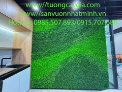 Decor vách tường rêu Tuần lộc tại 36 Cát Linh - Hà Nội