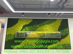 Rêu tuần lộc - đẹp bền chất lượng theo thời gian