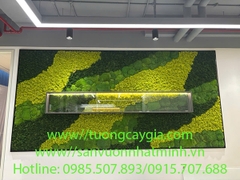 Rêu tuần lộc - đẹp bền chất lượng theo thời gian