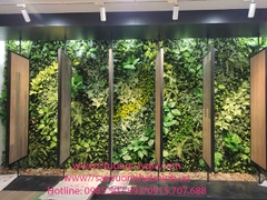 Lắp đặt vách tường cây giả tại showroom gạch Eurotile Tp Đà Nẵng