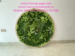 Trang trí vòng tròn bằng rêu nhân tạo cao cấp tại Cầu Giấy - TP Hà Nội