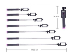 Gậy chụp hình stick xi sắt