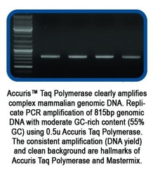 Accuris ™ Taq, Hãng: Accuris-Benchmark