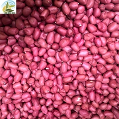 Lạc đỏ 6 tháng