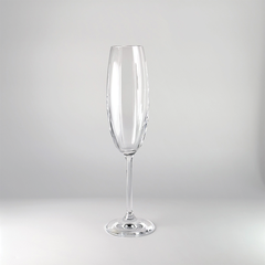 BỘ 6 LY CHAMPAGNE MODERN PHONG CÁCH SANG TRỌNG, ĐƠN GIẢN, HIỆN ĐẠI 220ML