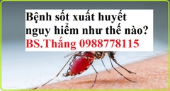 Bệnh sốt xuất huyết nguy hiểm như thế nào?