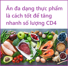 CD4 là gì? Ăn gì để tăng CD4 nhanh nhất?