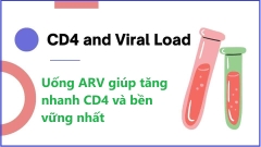 CD4 thấp thì uống thuốc gì để tăng được nhanh lên?