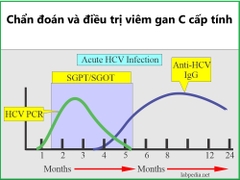 Chẩn đoán và điều trị viêm gan C cấp tính