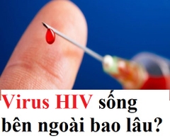 Virus HIV sống bên ngoài bao lâu?