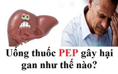 Uống PEP có hại gan không?