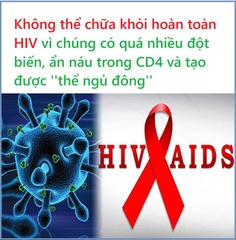 3 lý do khiến cho HIV không thể được chữa khỏi hoàn toàn là gì?