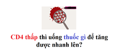 CD4 thấp thì uống thuốc gì để tăng được nhanh lên?