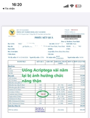 Uống Acriptega vài năm lại bị ảnh hưởng đến thận