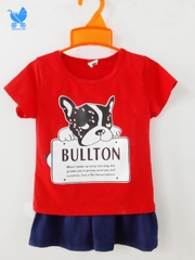 Bộ chó cộc tay bullton