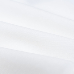 SP655 - Áo Sơ Mi Rent