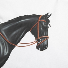 SP805 - Áo Polo Akhal