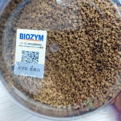 Biozym African Cichlid Allicin Food