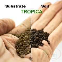 Cốt nền Tropica Substrate Nutrition Plant Care