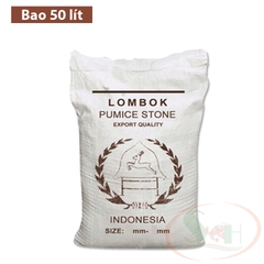 Đá lông vũ nham thạch nâu Indonesia Pumice