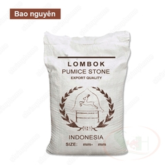 Đá lông vũ nham thạch nâu Indonesia Pumice