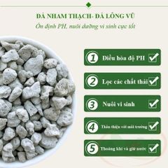 Đá lông vũ nham thạch trắng Turkey Pumice