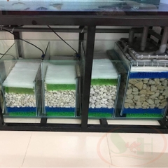 Đá lông vũ nham thạch trắng Turkey Pumice